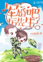 亲爱的黎先生全文免费阅读