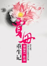 重生贾母和王夫人合集